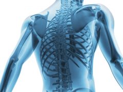 ¿Por qué nos duele la espalda? Consejos para mantener una espalda saludable